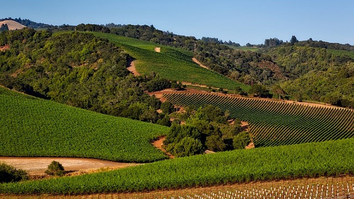 Valle de Napa en California