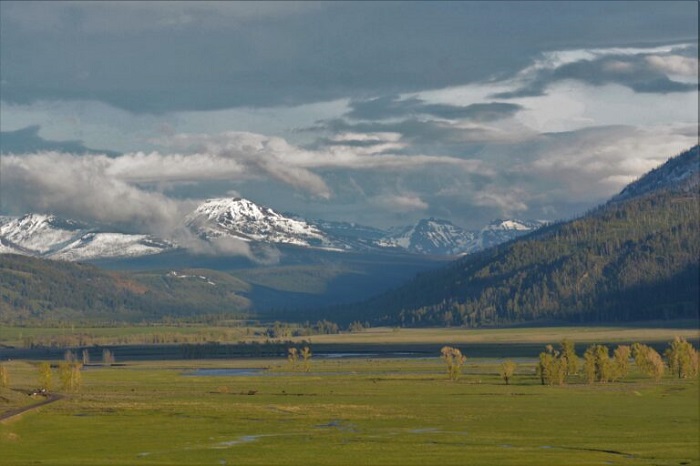 Unos de los valles del Parque Yellowstone de Estados Unidos