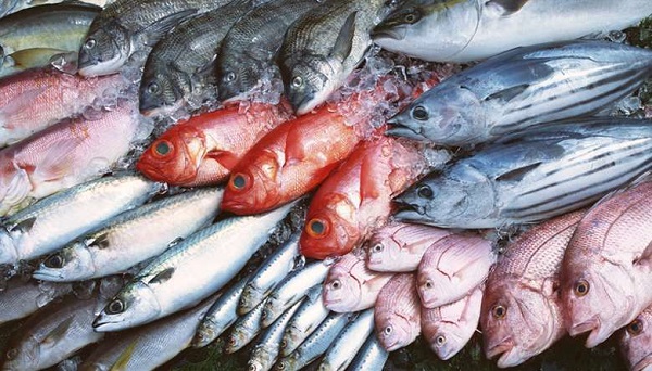 los pescados son alimentos alergenos